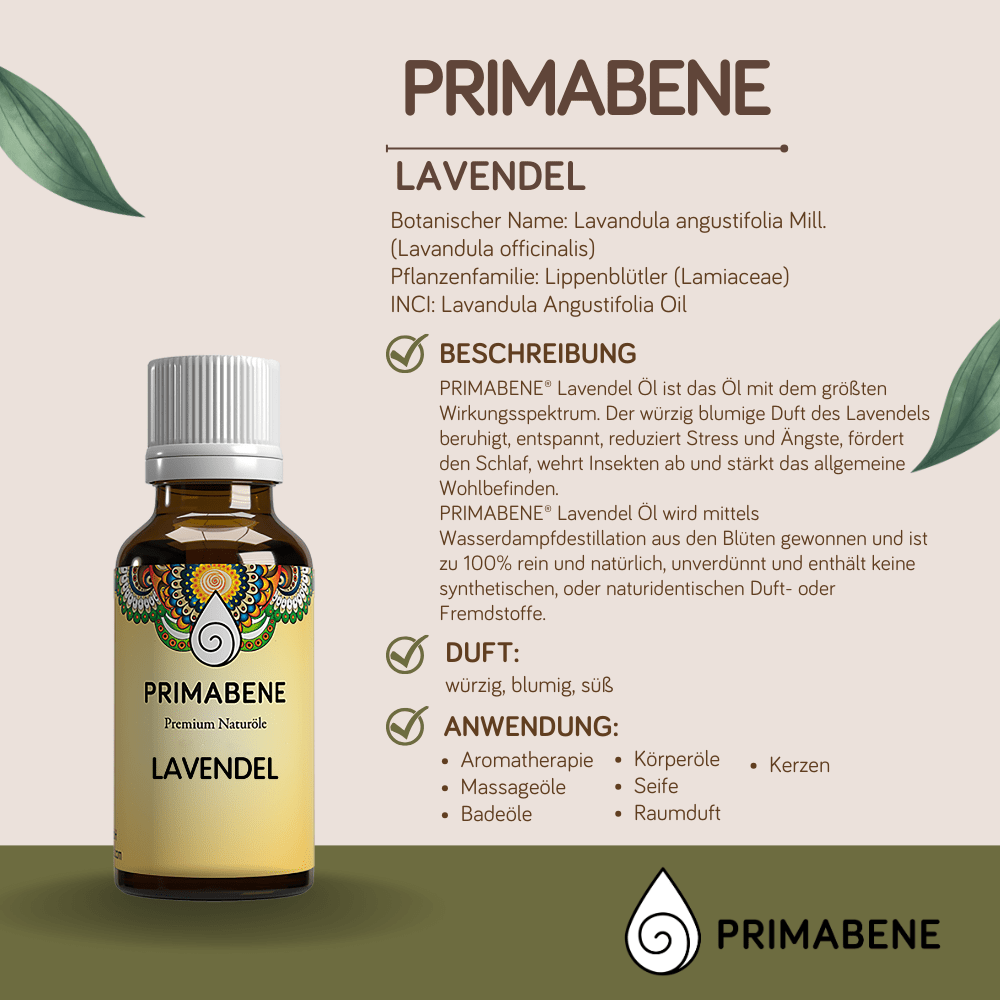 Bild von Lavendel , 100% rein ätherisches Öl